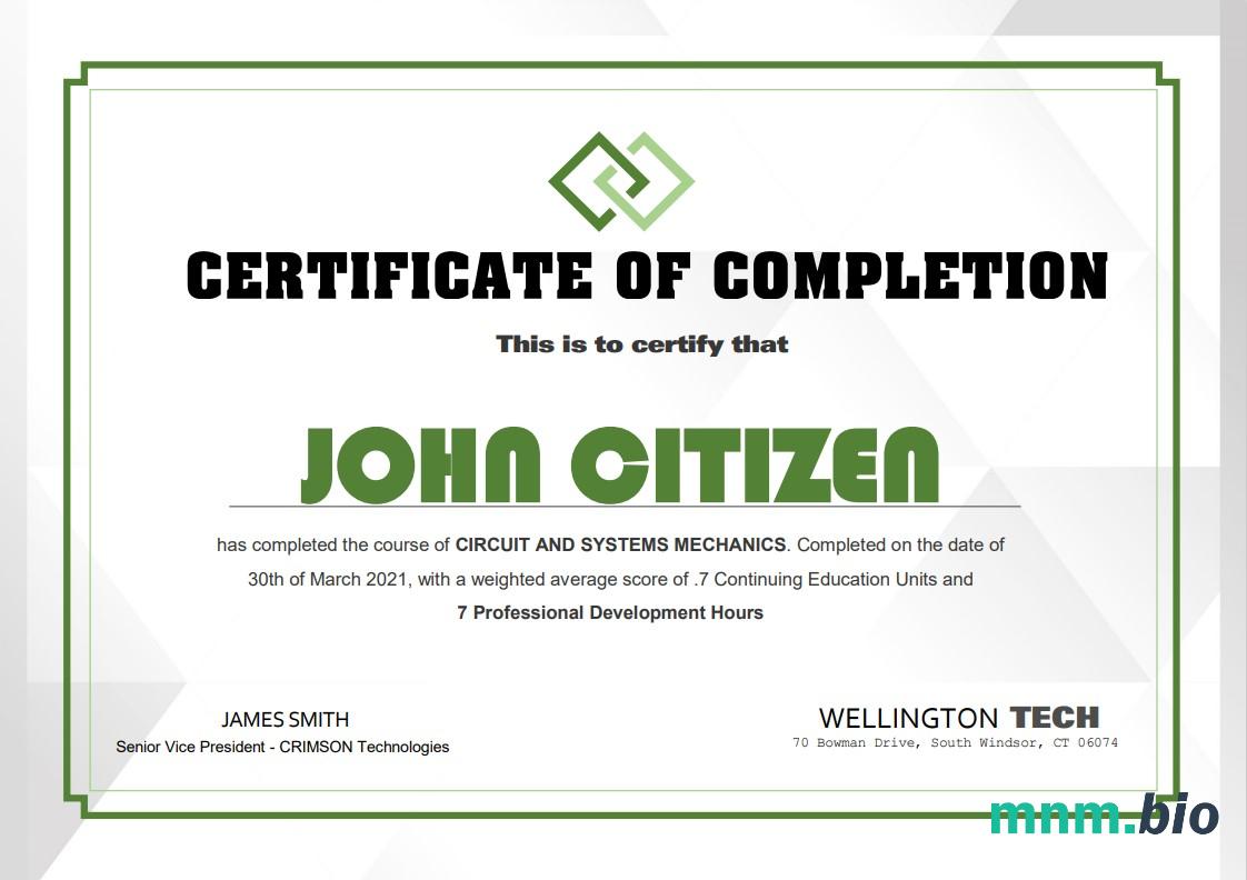 USA Experience Certificate